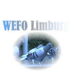 Wefo Limburg